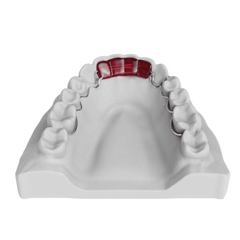 Top rated certified lingual labs for adenta .